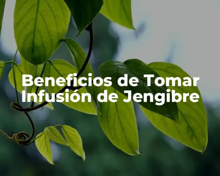 Beneficios de Tomar Infusión de Jengibre