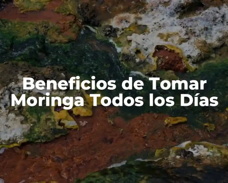 Beneficios de Tomar Moringa Todos los Días