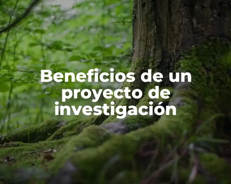 Beneficios de un proyecto de investigación