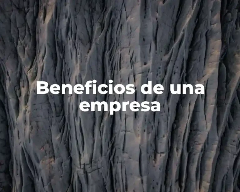 Beneficios de una empresa