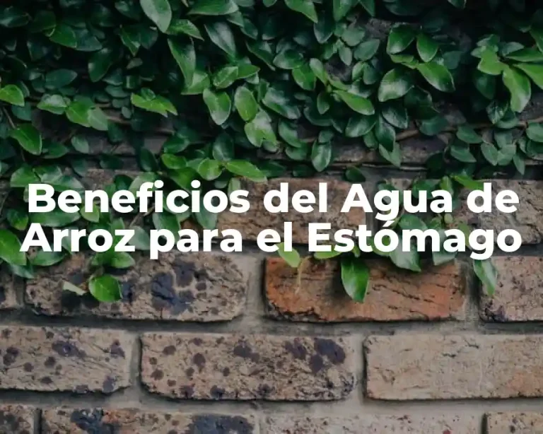 Beneficios del Agua de Arroz para el Estómago