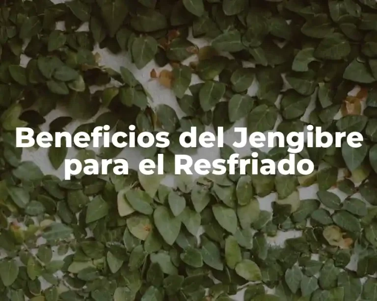 Beneficios del Jengibre para el Resfriado