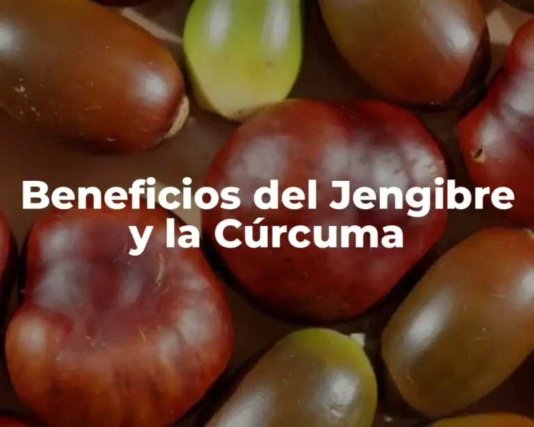 Beneficios del Jengibre y la Cúrcuma