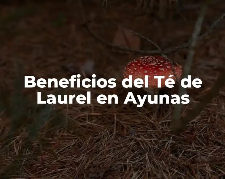 Beneficios del Té de Laurel en Ayunas