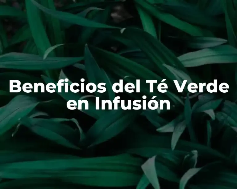 Beneficios del Té Verde en Infusión