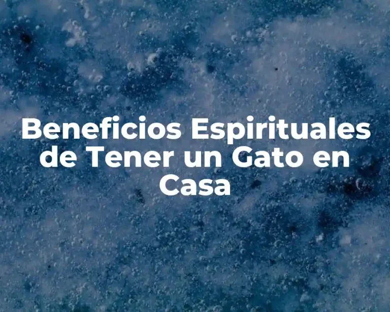 Beneficios Espirituales de Tener un Gato en Casa
