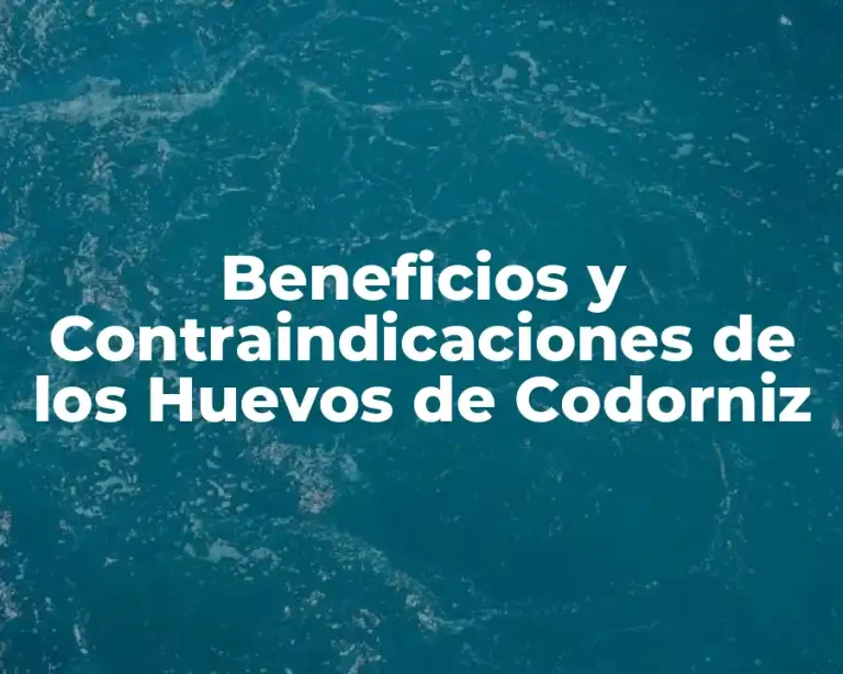 Beneficios y Contraindicaciones de los Huevos de Codorniz