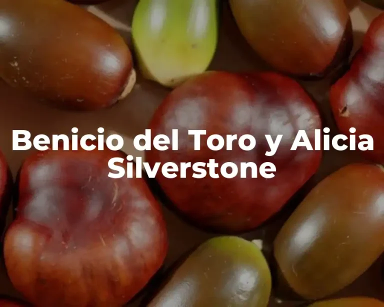 Benicio del Toro y Alicia Silverstone