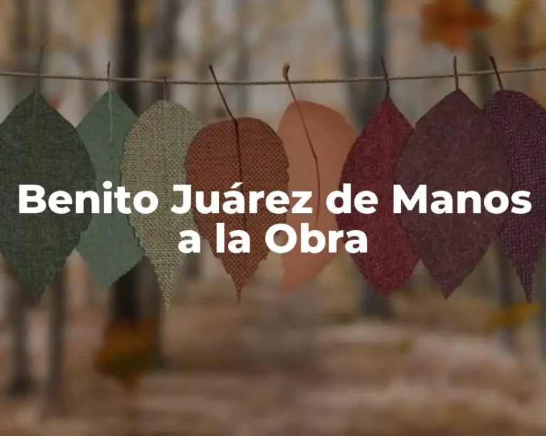 Benito Juárez de Manos a la Obra