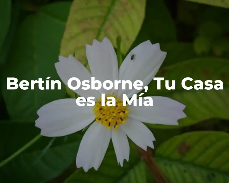 Bertín Osborne, Tu Casa es la Mía