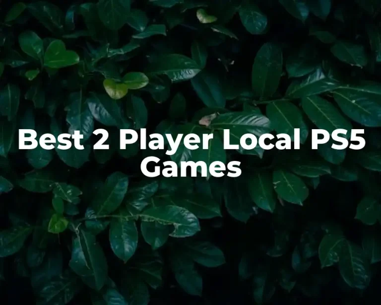 Best 2 Player Local PS5 Games