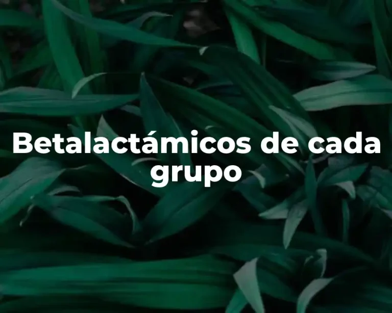Betalactámicos de cada grupo