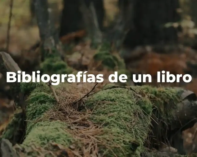 Bibliografías de un libro