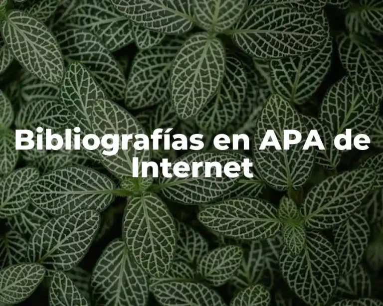 Bibliografías en APA de Internet