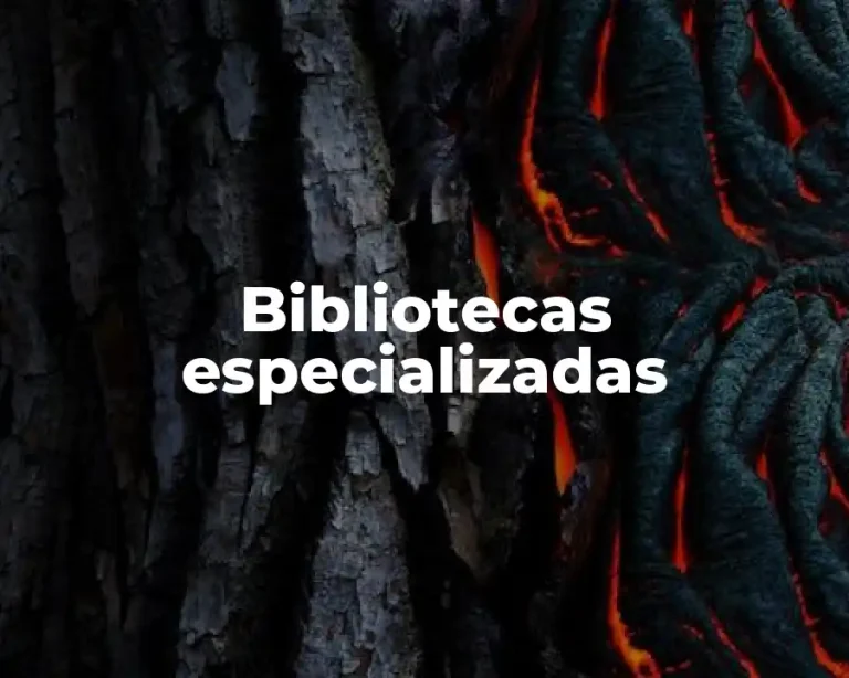 Bibliotecas especializadas