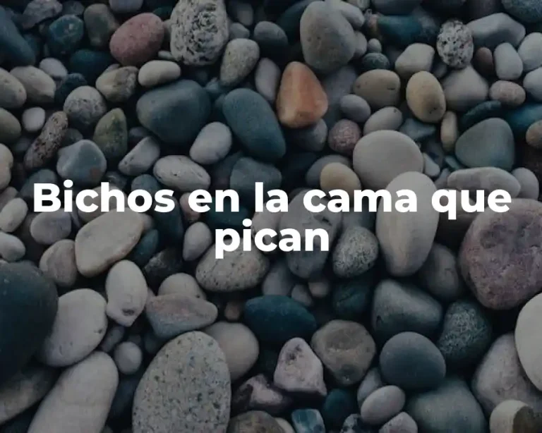 Bichos en la cama que pican