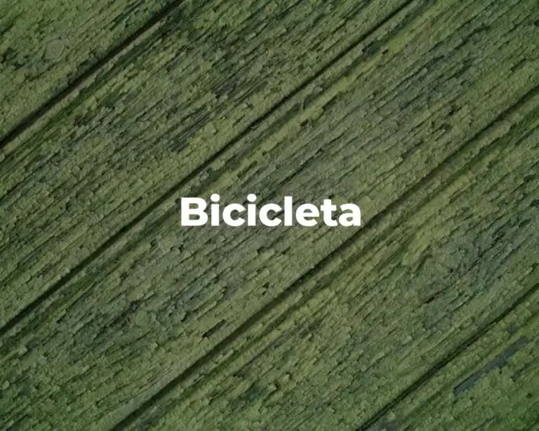 Bicicleta