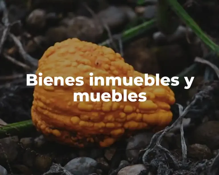 Bienes inmuebles y muebles