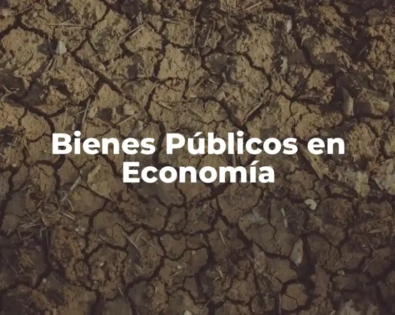 Bienes Públicos en Economía