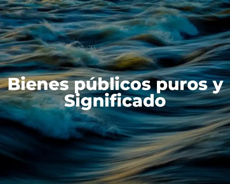 Bienes públicos puros y Significado
