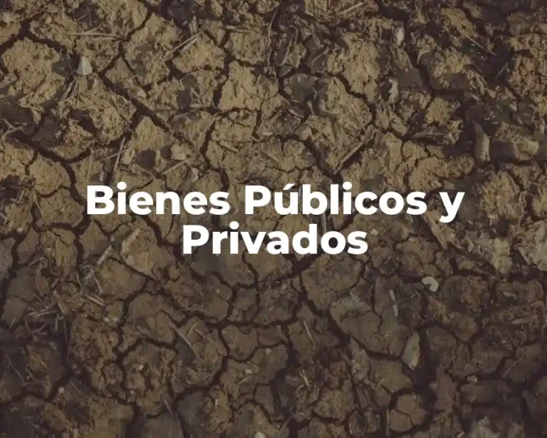 Bienes Públicos y Privados