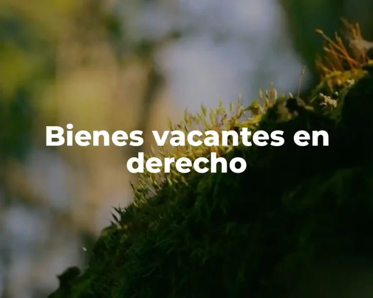 Bienes vacantes en derecho