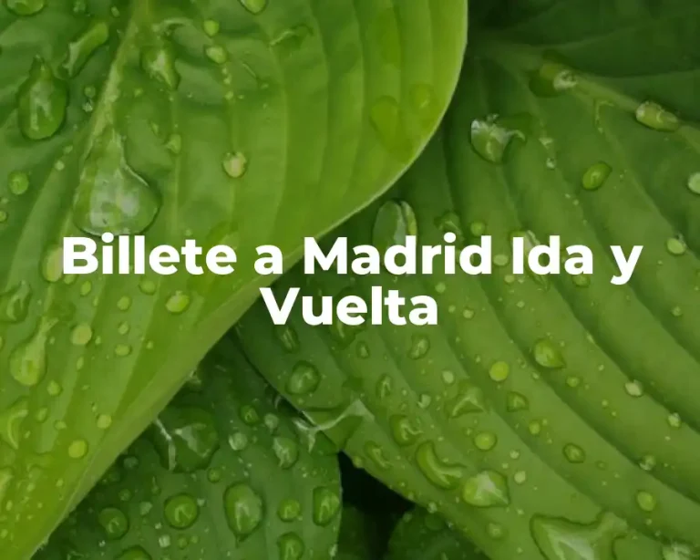 Billete a Madrid Ida y Vuelta