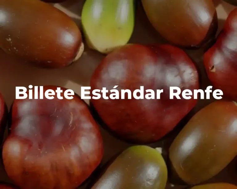 Billete Estándar Renfe