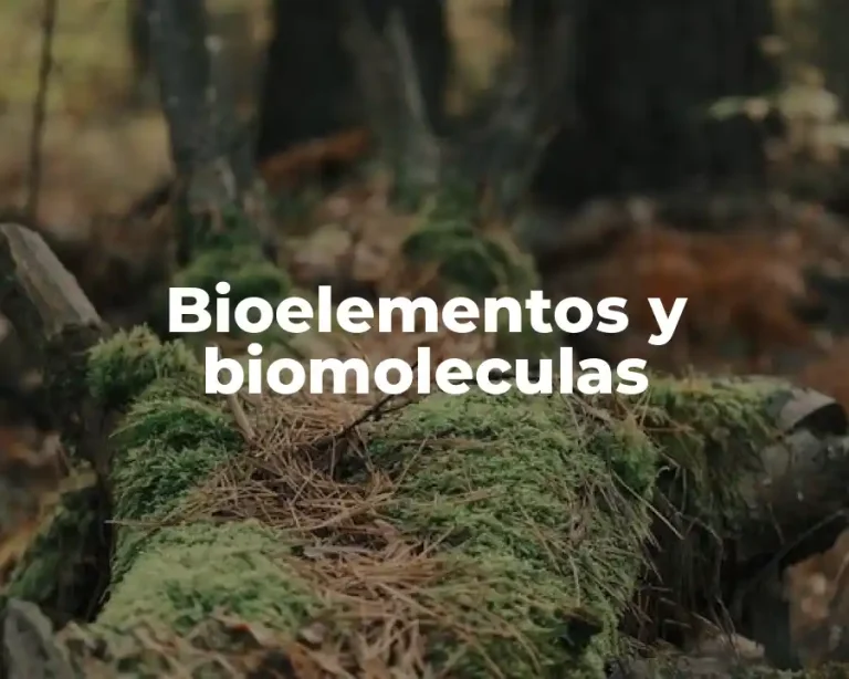 Bioelementos y biomoleculas