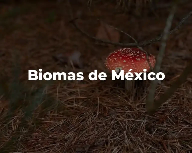 Biomas de México
