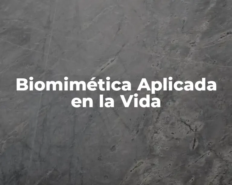 Biomimética Aplicada en la Vida