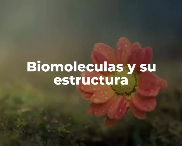 Biomoleculas y su estructura