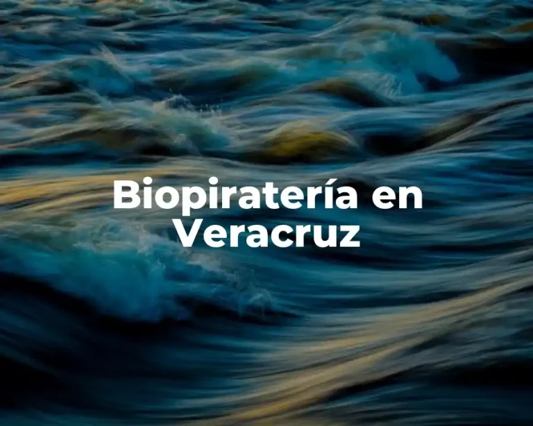 Biopiratería en Veracruz