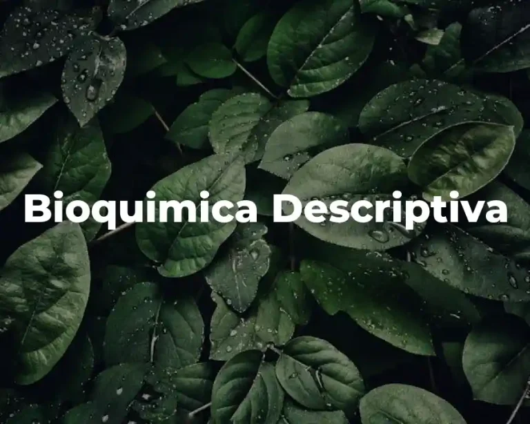 Bioquimica Descriptiva