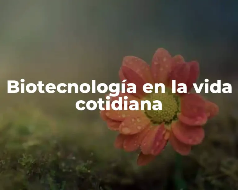 Biotecnología en la vida cotidiana