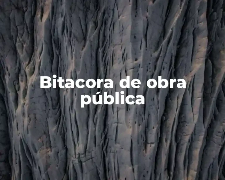 Bitacora de obra pública