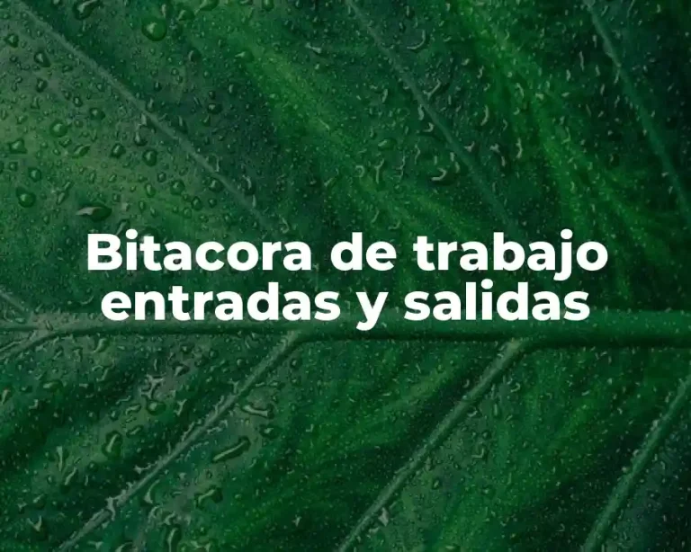 Bitacora de trabajo entradas y salidas