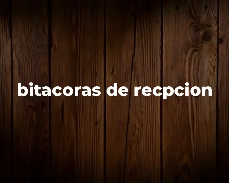 bitacoras de recpcion