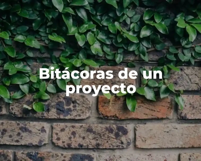 Bitácoras de un proyecto
