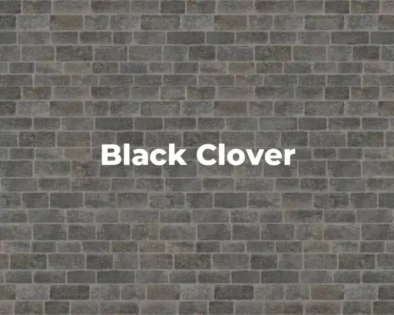 Black Clover