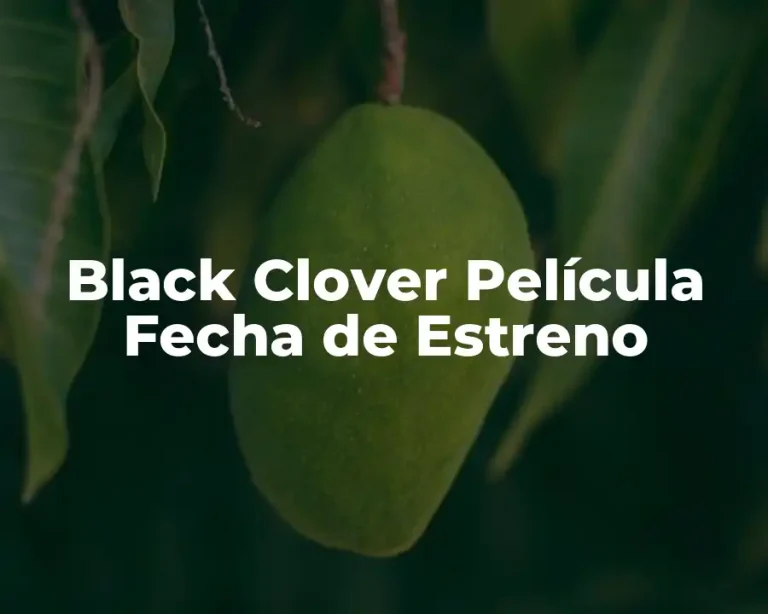 Black Clover Película Fecha de Estreno