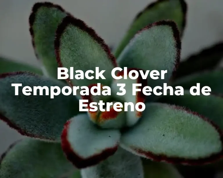 Black Clover Temporada 3 Fecha de Estreno