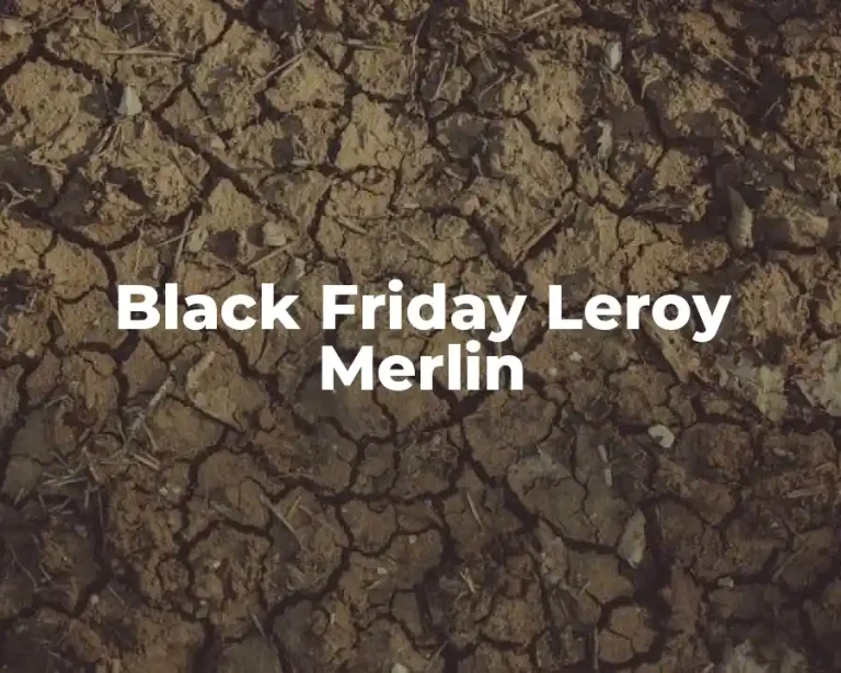 Black Friday Leroy Merlin