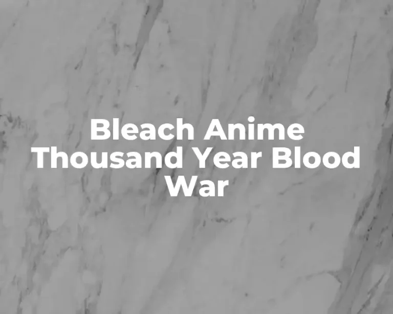 Bleach Anime Thousand Year Blood War