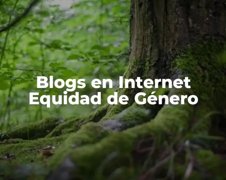 Blogs en Internet Equidad de Género