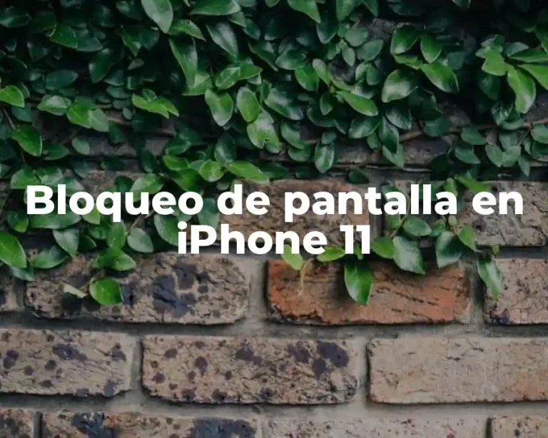 Bloqueo de pantalla en iPhone 11