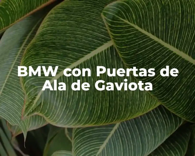 BMW con Puertas de Ala de Gaviota