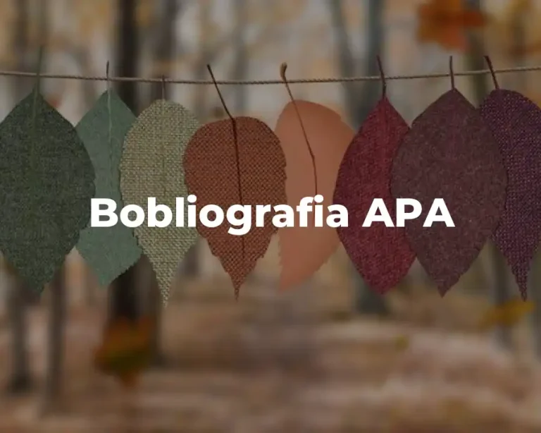 Bobliografia APA
