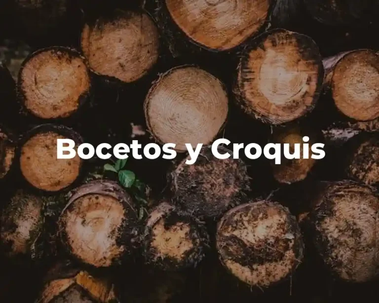 Bocetos y Croquis