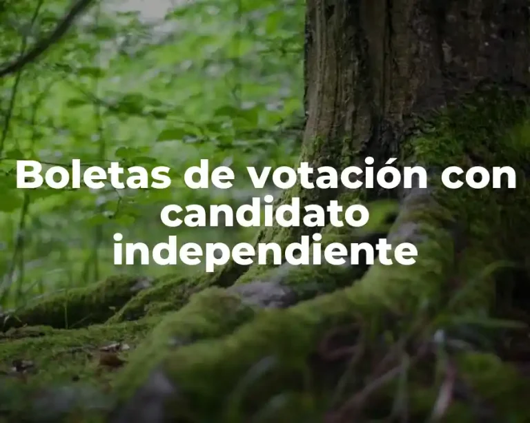 Boletas de votación con candidato independiente